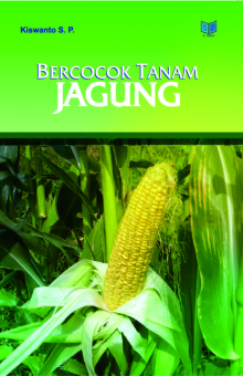 Bercocok Tanam Jagung