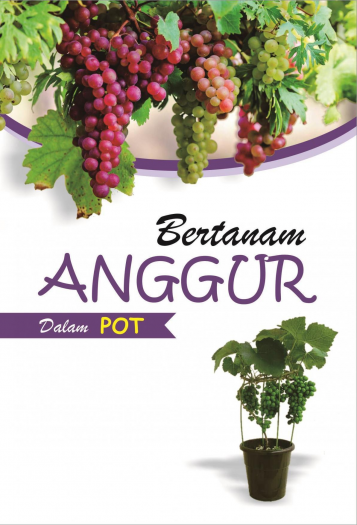 Bertanam Anggur Dalam Pot