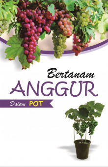 Bertanam Anggur Dalam Pot