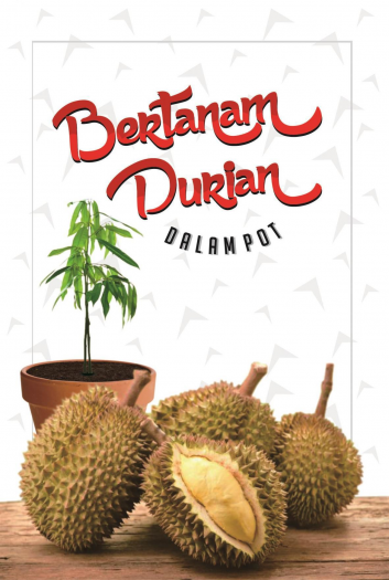 Bertanam Durian Dalam Pot