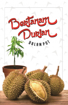 Bertanam Durian Dalam Pot