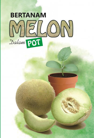 Bertanam Melon Dalam Pot