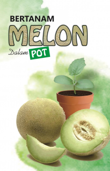 Bertanam Melon Dalam Pot