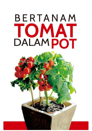 Bertanam Tomat Dalam Pot