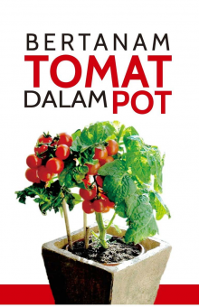 Bertanam Tomat Dalam Pot