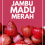 BUDIDAYA JAMBU MADU MERAH