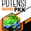 POTENSI BISNIS PKK